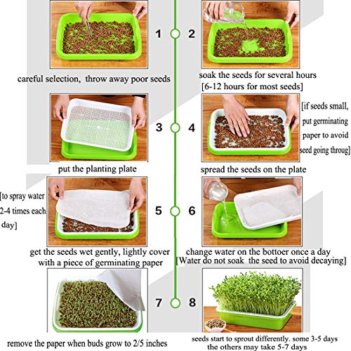 RuiyiF Seed Sprouter Tray, 2 Set Seed Germination Trays with Water Tray, Wheatgrass Tray/Bean Sprout Grower (Green + White)