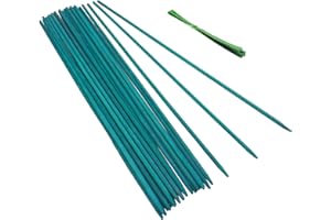 Green Bamboo Sticks Plant Stakes, Plant Support Sticks for Indoor Plants, GAGINANG Sturdy Bamboo Stakes, Floral Plant Support for Indoor and Outdoor Plants 25 Pack（15 Inches）