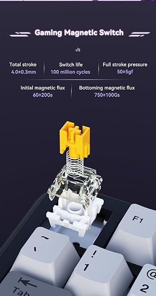 ODPALTOY AK820 MAX MECHANICAL GAMING MAGNETIC SWITCH KEYBOARD WITH KNOB, WIRED RGB PBT KEYCAP HOT SWAPPABLE KEYBOARD, 81 KEYS (HAIYANESE PURPLETRI-MODE)