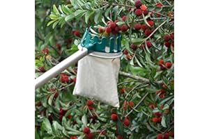 HANZIUP Fruit Picker Basket Head with Sharp Blade, Labor Saving for Harvest Picking Cherry Apple Pear Peach Mango Kiwi Lemon Orange Longan