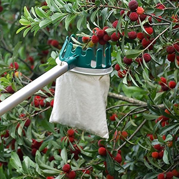 Amazon Com Hanziup Fruit Picker Basket Head With Sharp Blade Labor Saving For Harvest Picking Cherry Apple Pear Peach Mango Kiwi Lemon Orange Longan Garden Outdoor