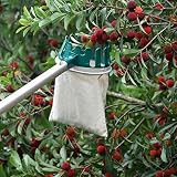 HANZIUP Fruit Picker Basket Head with Sharp Blade, Labor Saving for Harvest Picking Cherry Apple Pear Peach Mango Kiwi Lemon Orange Longan