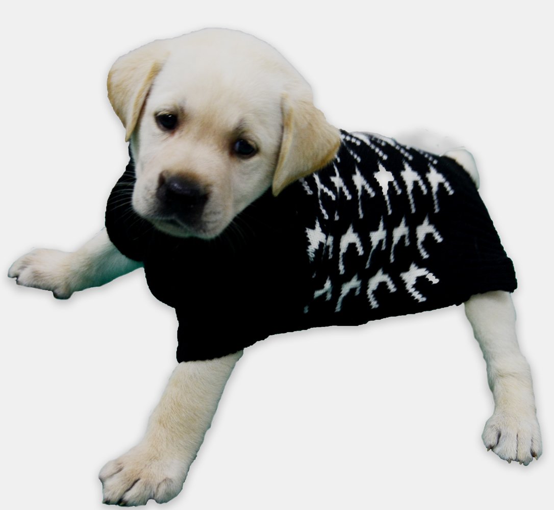 uva dog sweater