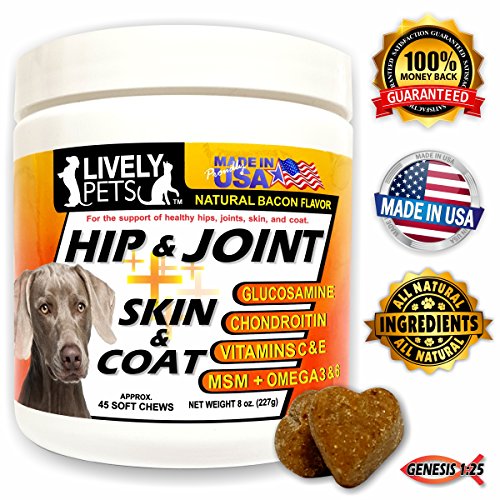 Top for hip meds for dogs