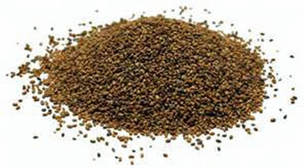 Alfalfa Sprouting Seed, NON GMO - 6 Oz -Country Creek LLC Brand - High Sprout Germination- Edible Seeds, Gardening, Hydroponics, Growing Salad Sprouts, Planting, Food Storage & More : Garden & Outdoor