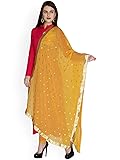 themilestocks Woman's Embroidered Chiffon Dupatta