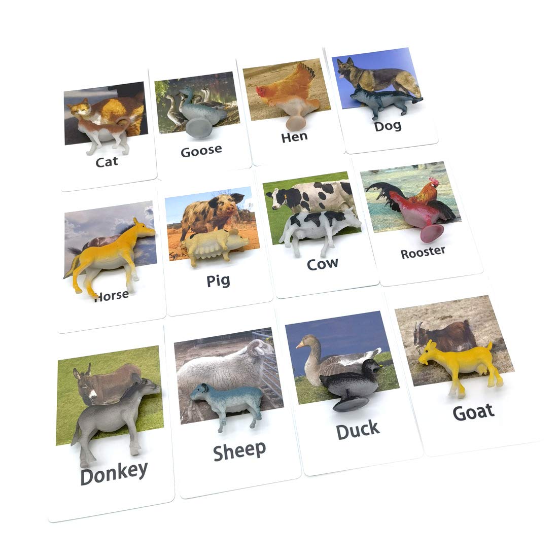 MEROCO Montessori Animal Match Cards - Miniature Poultry Animals with Matching Card - 2 Part Cards. Montessori Learning Toy, Language Materials TZX106