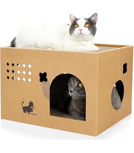 Rascador Para Gatos Caja En Cartón Resistente Ideal Para