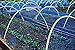 BEST BIRD NETTING 14 x 45 ft Bird Net - Smart Way to Protect Fruit Trees, Bushes & Vegetables from Hungry Birds, Garden Netting Protects Gardens from Chickens & Poultry