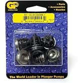Pump Check Valves Kit 1 K01 Interpump