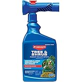 BioAdvanced Tree and Shrub Insect Killer, Ready-to-Use, 32Oz