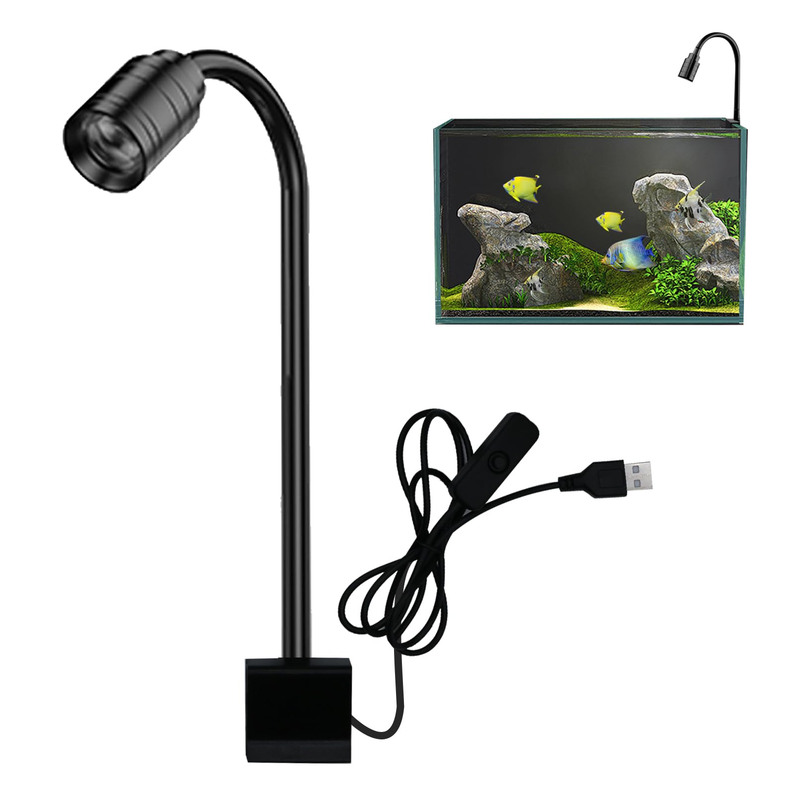 熱帯魚・観賞魚の商品画像