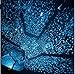 Fding DIY Season Stars Night Light Projector LED Sky Projection Lamp (Blue)