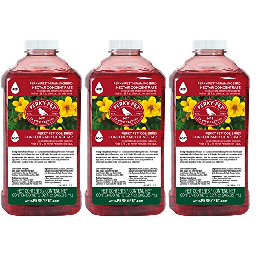 Perky-Pet 238 32 fl oz Red Hummingbird Nectar Concentrate - 3 Pack