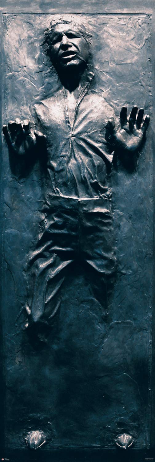 han solo carbonite door wrap