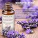 Majestic Pure Bulgarian Lavender Essential Oil, Therapeutic Grade, Authentic 100% Pure and Natural, 2 fl. oz.