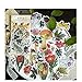 Ephemera Pack (60 PCS), Tropical Plants Style Note Stickers Easy Self-Adhesive Flowers Roses Garden Wildflowers Butterflies for Scrapbook, Notebook, Journal, Card Making, Letters … (#7)