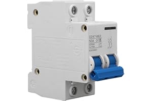 LiebeWH DC Circuit Breaker 2P Mini Circuit Breaker PV Isolation Switch 50A 500V for Solar Systems and DC Applications