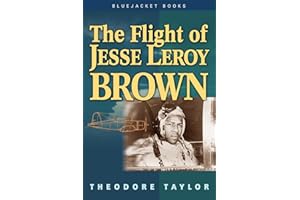 The Flight of Jesse Leroy Brown
