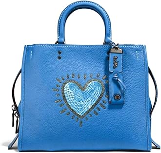 coach sky blue bag