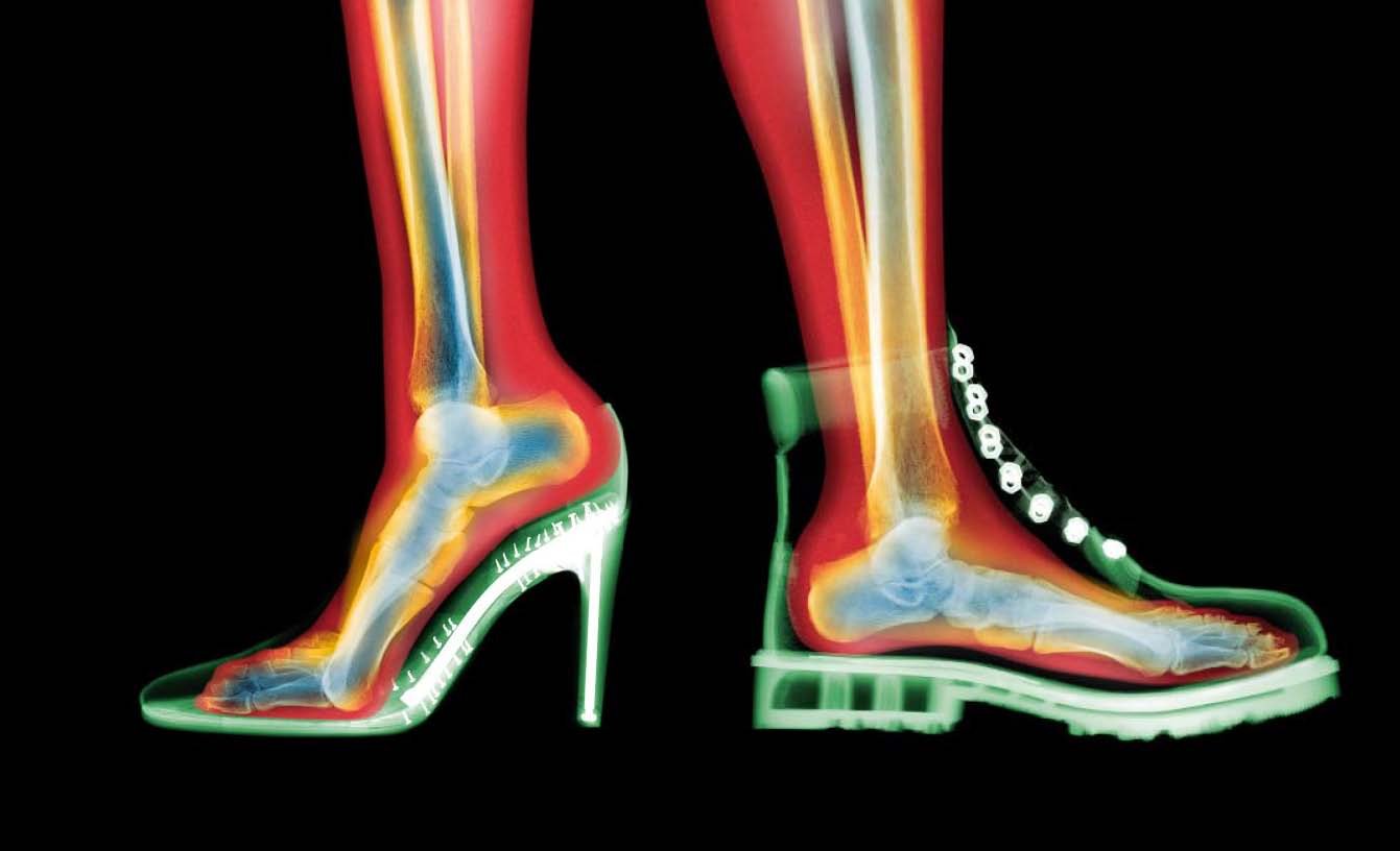 Amazon Com X Ray Picture Book In The World The Most Beautiful The Book Soft Cover 9784767814636 Nick Veasey Libros