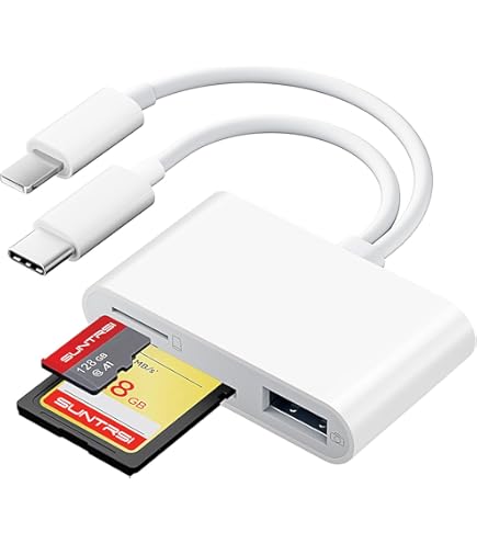 Amazon.com: Two 4GB SD Secure Digital Memory Cards BigVALUEInc