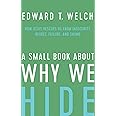 A Small Book about Why We Hide: How Jesus Rescues Us from Insecurity, Regret, Failure, and Shame