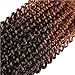 Refined Hair 12inch 24Strands 6packs/lot Ombre Malibob Jerry Curly Twist Hair Synthetic Crochet Braids Freetress Braiding Hair Extensions (T1B/30)