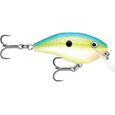 Rapala Ott's Garage Rocco Crankbait, Hard Bait, Bass Fishing Lure, Wide Wobble Action for Shallow Water, 2-1/2", Citrus Shad