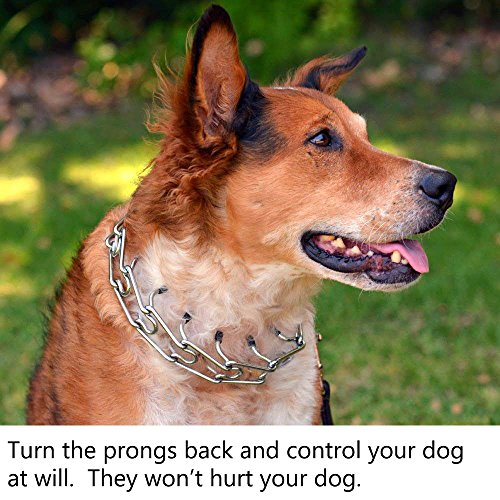 Mayerzon Dog Prong Collar Classic Stainless Steel Choke Pinch Dog