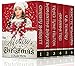 The Mystery of Christmas (Six Christian Mysteries and Suspense)