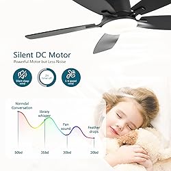 Ayaoty Ceiling Fans with Lights, 42 inch Low