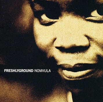 freshlyground nomvula