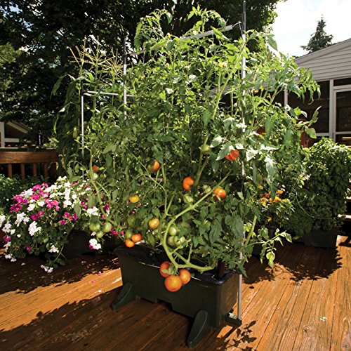 Earthbox 81011 Staking System, Green