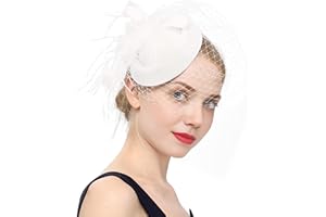 DURZASVO Women's 20s 50s Mesh Veil Feather Pillbox Fascinator Hat for Wedding Tea Party Durby Funeral Fascinator with Headband Clip