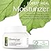 [Forest Heal] Anti Aging Retinol Moisture Cream for Face and Dry Skin, Anti-Wrinkle Hydration with Vitamin C (100 ml/ 3.38 fl.oz.)