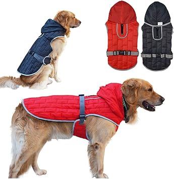 big dog jackets