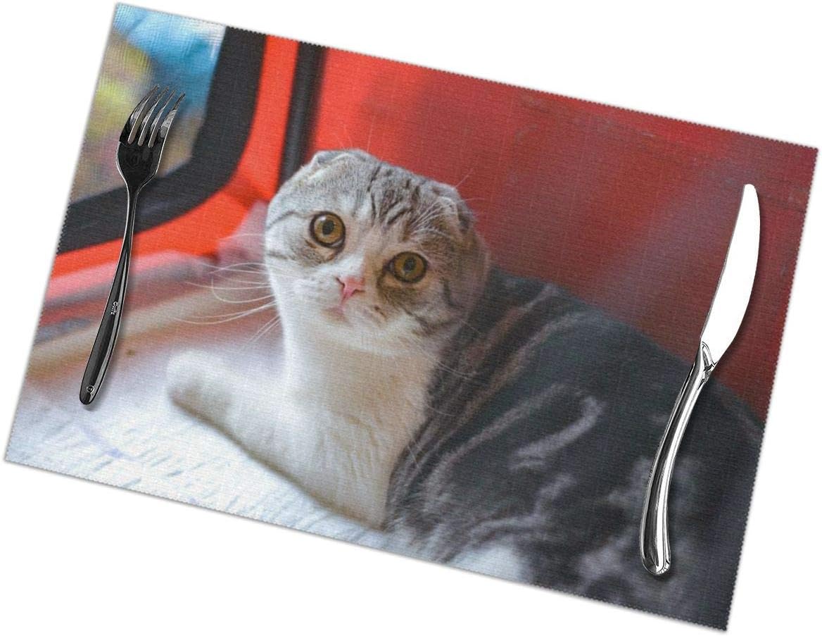 Best Placemats For Dining Table Silicone Mintrico