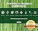 [Odor-Free] Bamboo Compression Socks for Men, Women by BAMS | Best SOFT Antibacterial 15-20 mmHg Medical Graduated Knee High Sock for Pain, Swelling, Injury, Sports, Diabetic, Nurse, Maternity, Travel