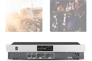 Anti-Howling Digital Audio Processor, Feedback Frequency Shifter, with 9 Level Inhibition Intensity, Ound Transmission Gain I