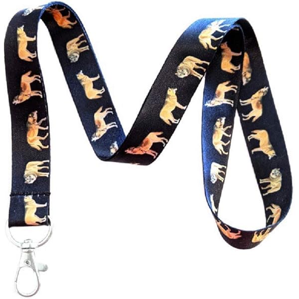 KEWUF Porte Badge Id Avec Lanyard Breakaway Pour, Badge Reel Rétractable, Clips De Badge Détachables, Lanyard Strap Pour Le Cou, Cadeaux Pour Le Bureau Des Infirmiers (A