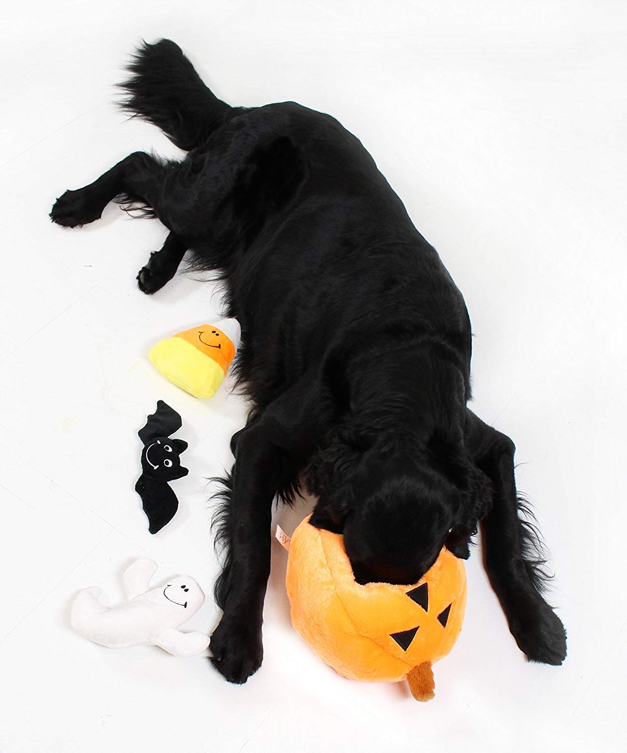 Midlee Pumpkin Find a Toy Halloween Dog Toy Halloween Day