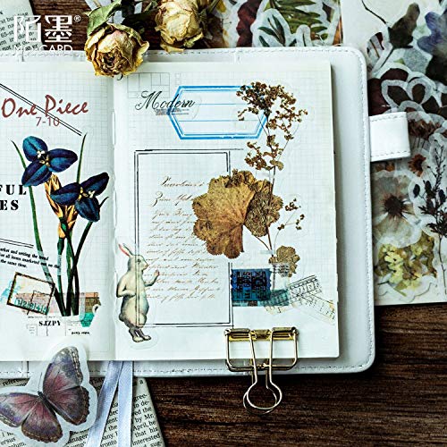 Herbal Plant Stickers