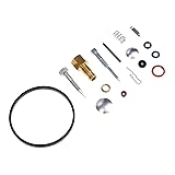 Mtsooning Carburetor Rebuild Kit for Tecumseh 31840