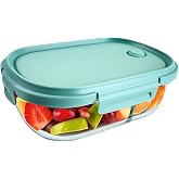 Neoflam 2 Compartment Glass Food Container with Airtight Lid &ndash; Divided Oval Bento Lunch Box with Vent, Reusable Meal Prep Storage, Microwave, Oven &amp; Dishwasher Safe (37 oz, 1.1 Liter, 4.6 cups)