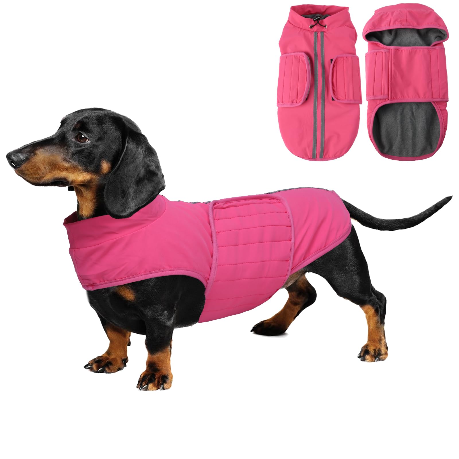 babepet Dachshund Coat Waterproof,Warm Coats & Jackets for Dogs,Miniature Dachshund Jumper,Reflective Small Dog Coat,Ideal for Outdoor&Indoor-Pink-M