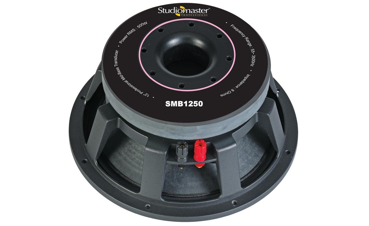 studiomaster subwoofer price