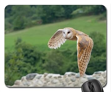 Barn Owl Flying Bird Of The Night North Amazon Co Uk Electronics