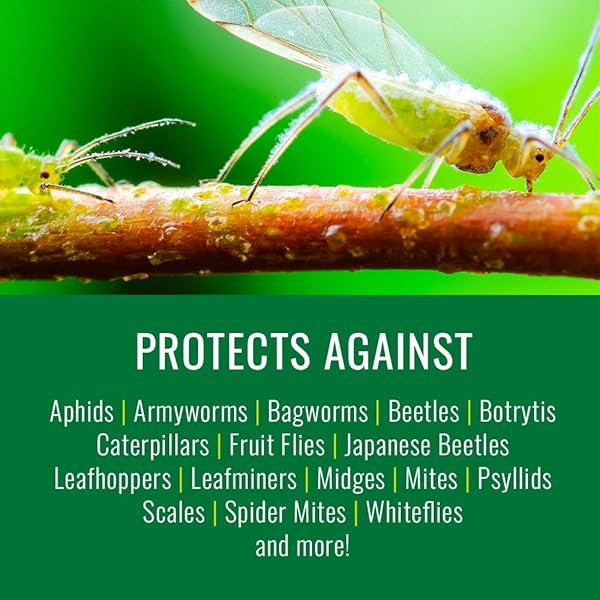 NATRIA NEEM OIL SPRAY FOR PLANTS PEST ORGANIC DISEASE CONTROL, 24-OUNCE, READY-TO-USE