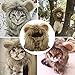 Pet Costume Cosplay Lion Mane Wig Cap Hat for Cat Halloween Xmas Clothes Fancy Dress with Ears Autumn Winter